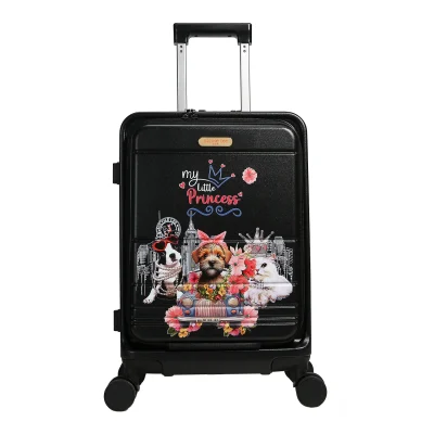 20″ STRIPE CARRY-ON SUITCASE