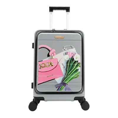 20″ STRIPE CARRY-ON SUITCASE